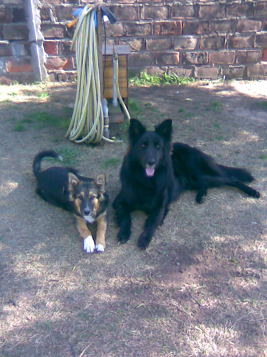 fotos/0000-00-00 - Infancia/Imagen000.jpg